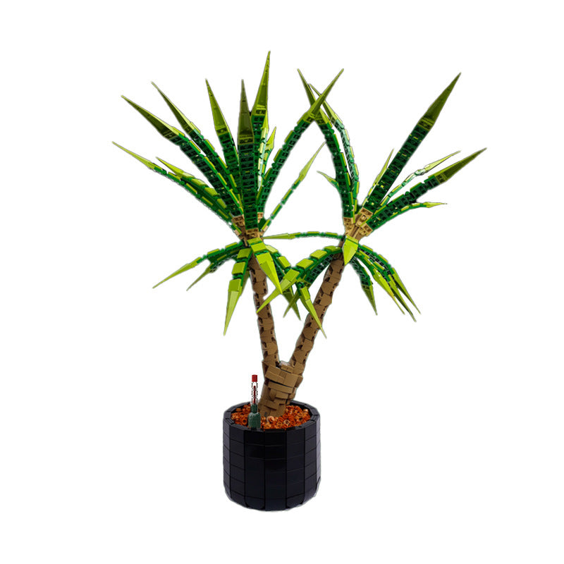 MOC-118715 Dracaena Marginata - Dragon Tree - 1952 pcs - 4