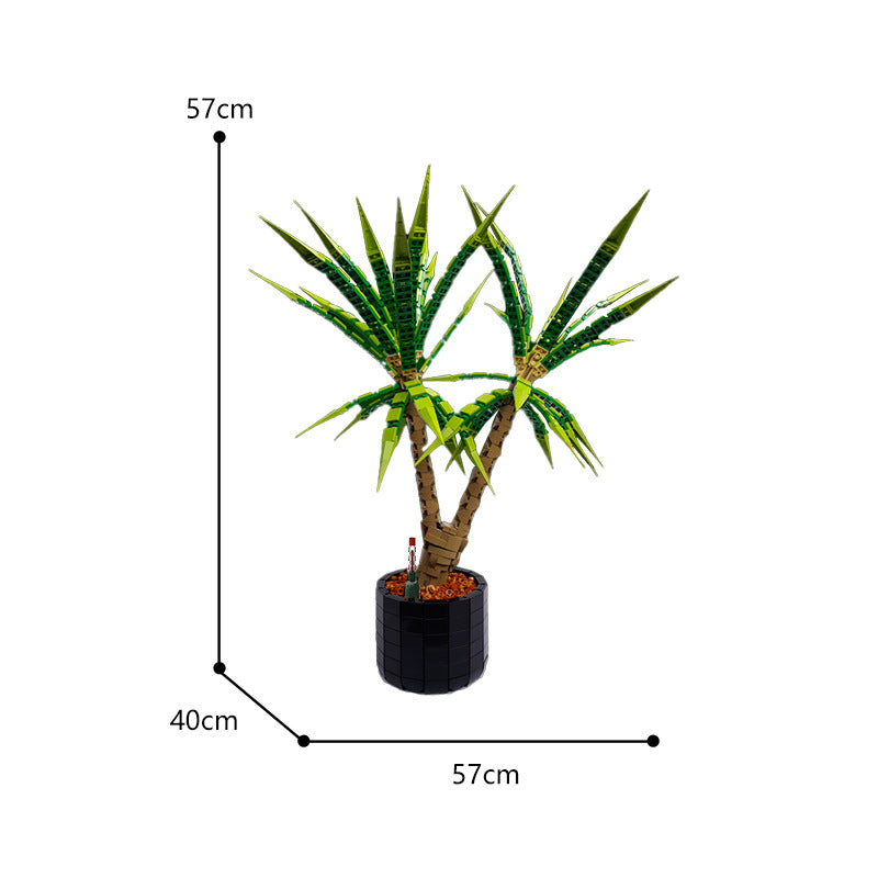 MOC-118715 Dracaena Marginata - Dragon Tree - 1952 pcs - 2