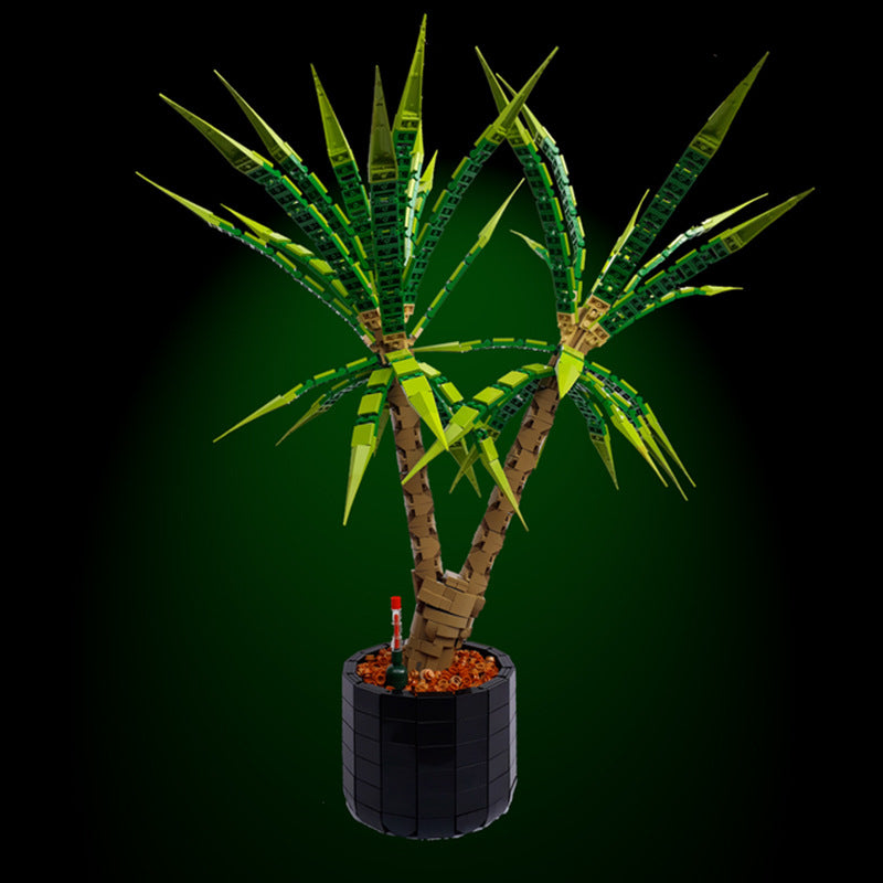 MOC-118715 Dracaena Marginata  - Dragon Tree - 1952 pcs - 3