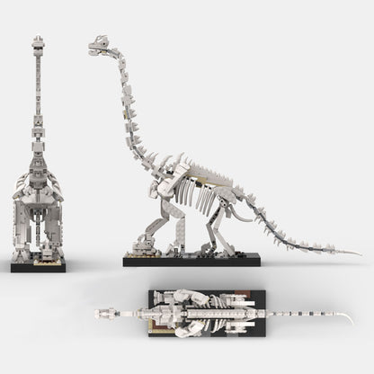 moc-60925 moc - giraffatitan (brachiosaurus) brancai skeleton - little oskar - 3